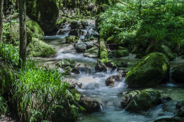 304 - Ruta Nakasendo - Magome-Tsumago
